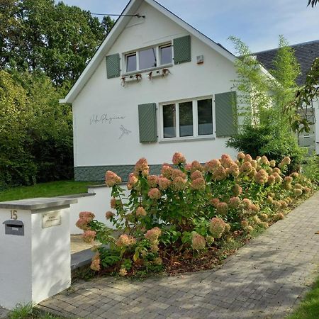 Villa Plagniau Rixensart エクステリア 写真